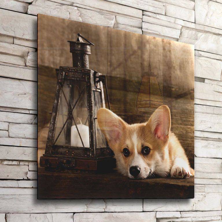 picture
